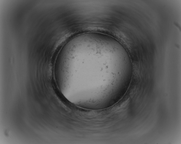 X0000093170016200709261537