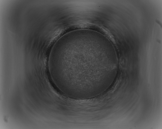 X0000093170018200709261537