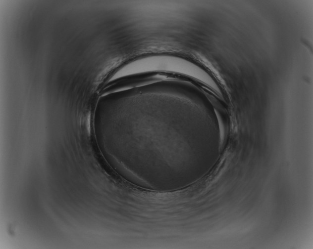 X0000093170019200709261537