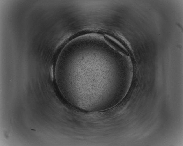 X0000093170020200709261537