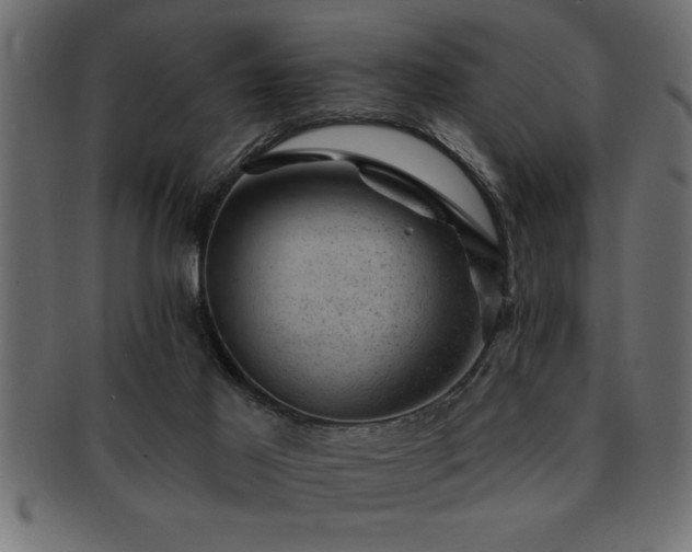 X0000093170021200709261537