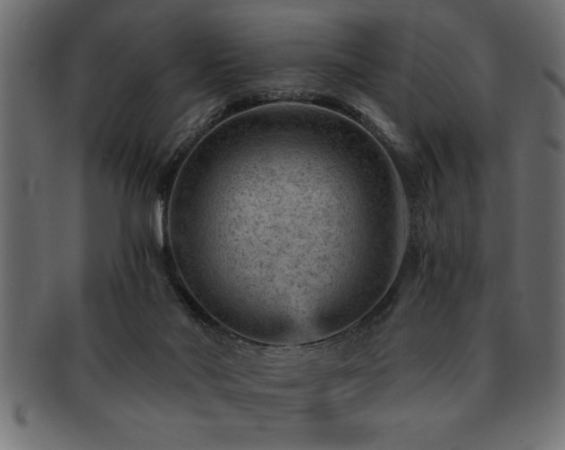 X0000093170022200709261537