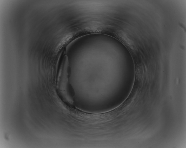 X0000093170023200709261537