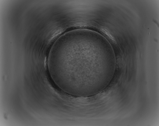 X0000093170024200709261537
