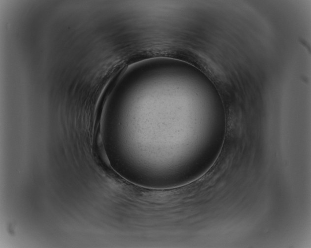 X0000093170025200709261537