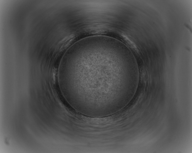 X0000093170026200709261537