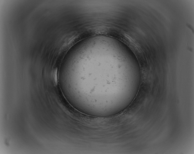 X0000093170028200709261537