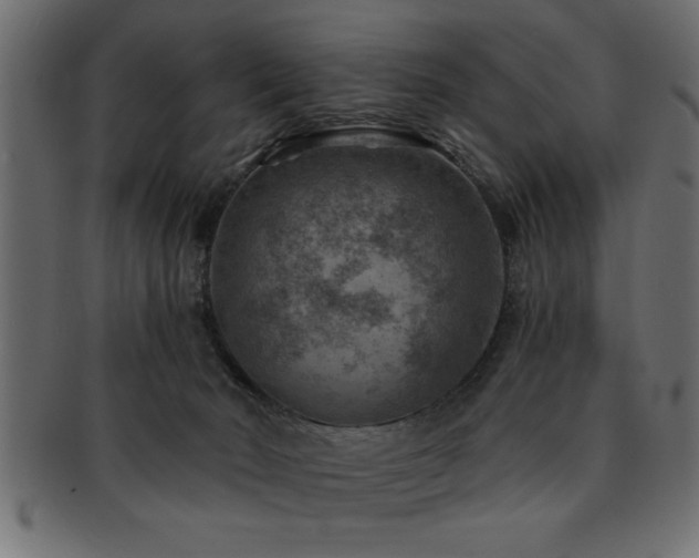 X0000093170030200709261537