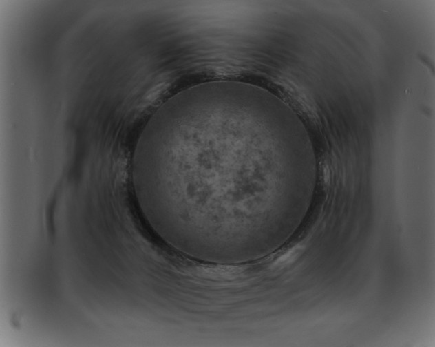X0000093170032200709261537