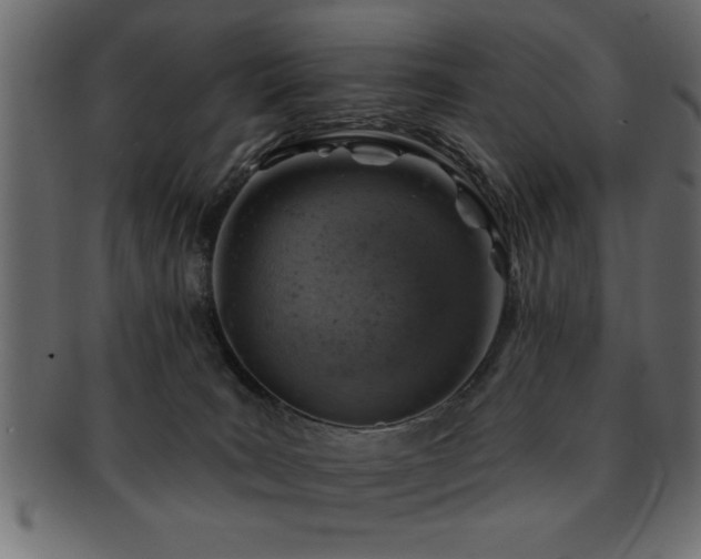 X0000093170035200709261537