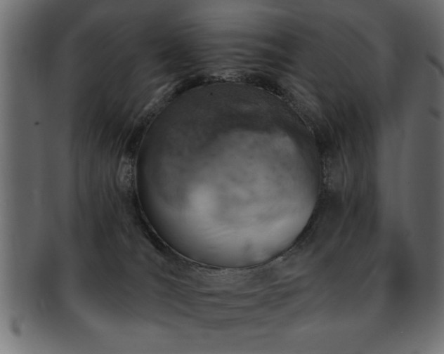 X0000093170036200709261537