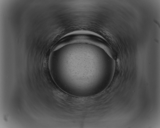 X0000093170037200709261537