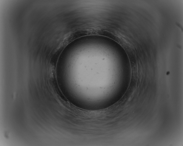 X0000093170038200709261537