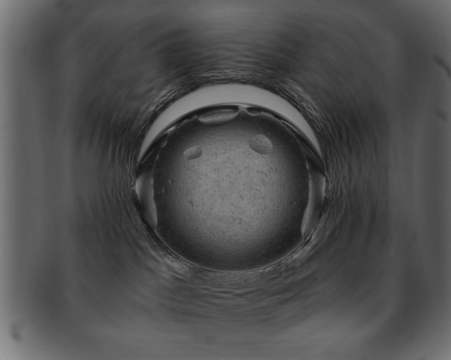 X0000093170045200709261537