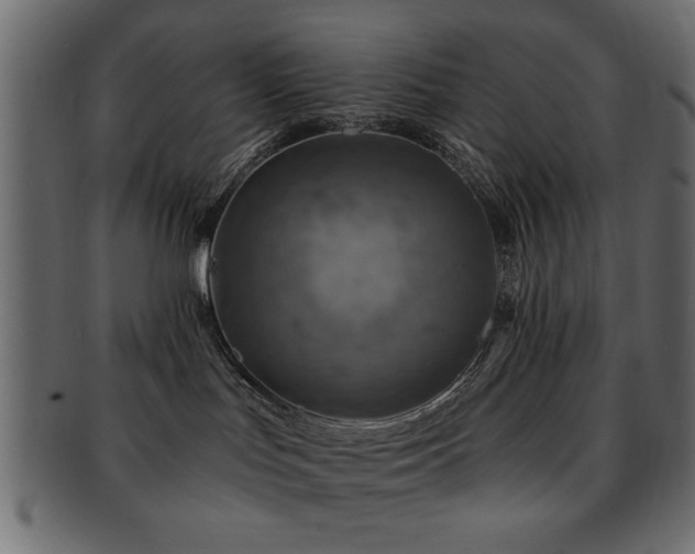 X0000093170047200709261537