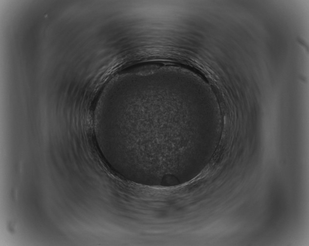 X0000093170048200709261537