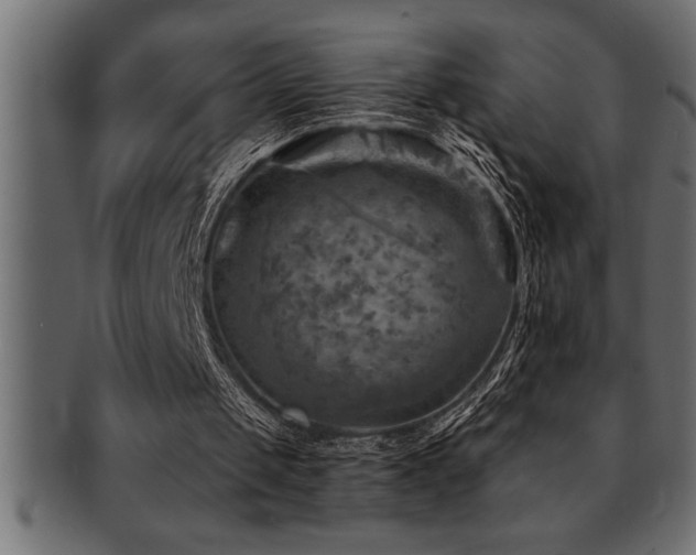 X0000093170049200709261537