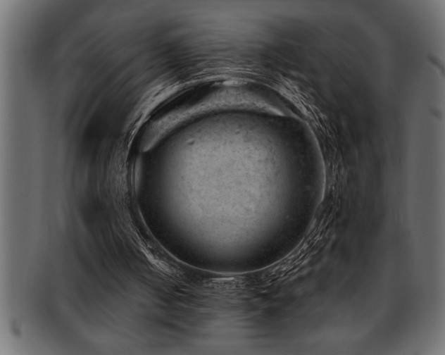 X0000093170050200709261537