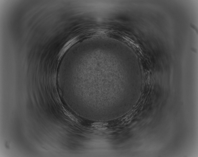 X0000093170051200709261537