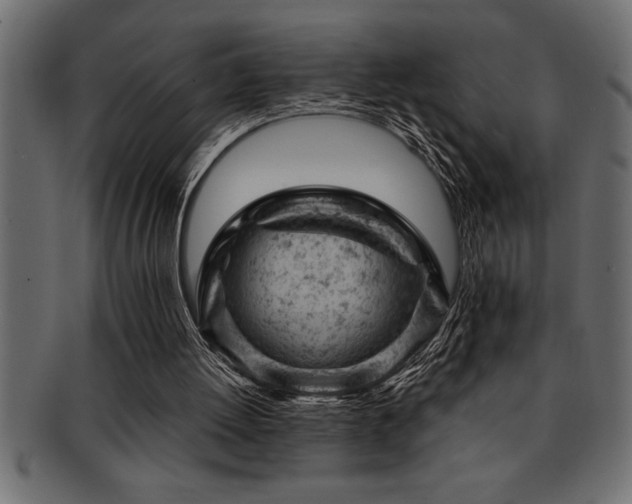 X0000093170052200709261537