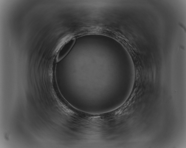 X0000093170054200709261537