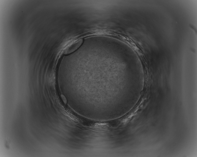 X0000093170055200709261537