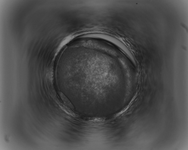 X0000093170056200709261537