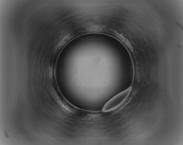 X0000093170057200709261537