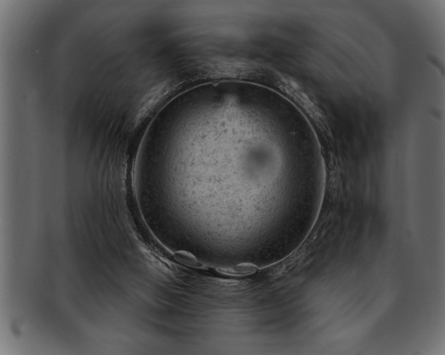 X0000093170058200709261537