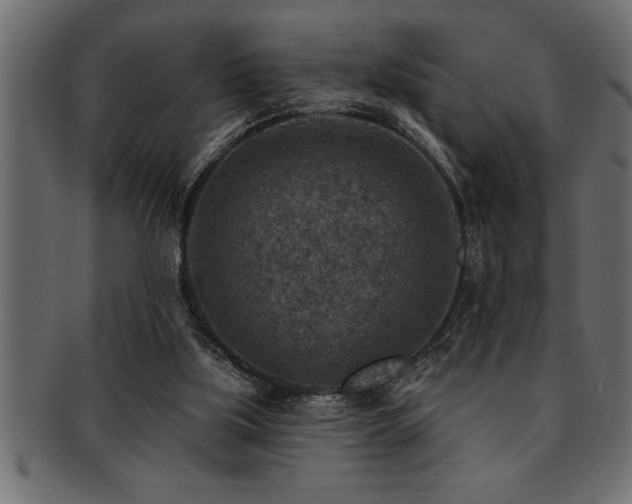 X0000093170059200709261537