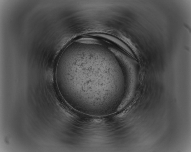 X0000093170060200709261537