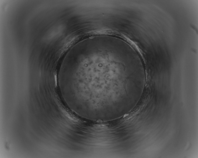 X0000093170061200709261537