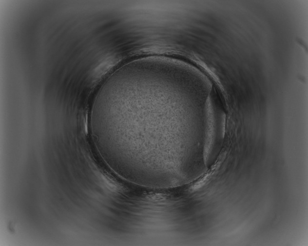 X0000093170062200709261537