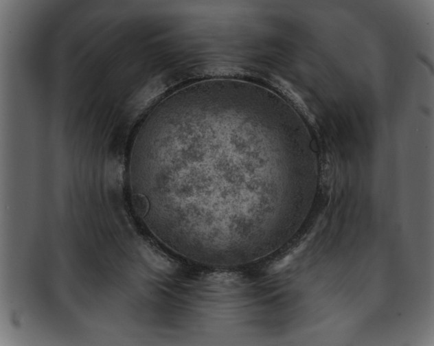 X0000093170063200709261537