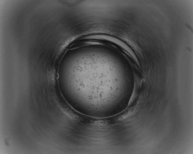 X0000093170064200709261537