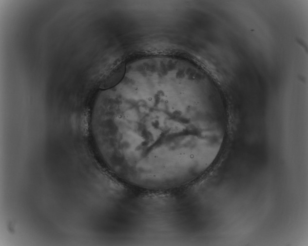 X0000093170065200709261537