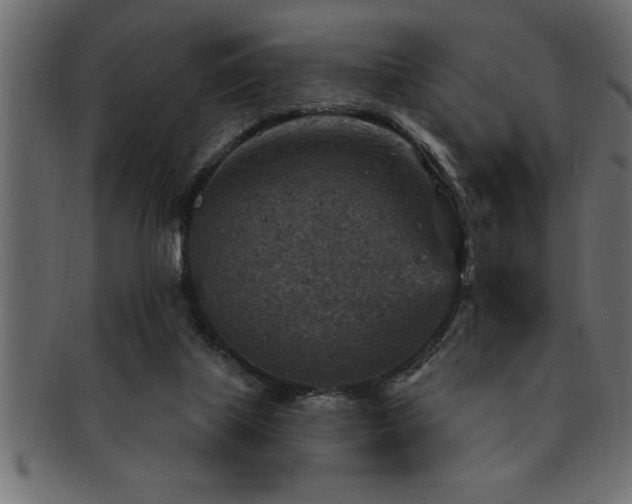 X0000093170067200709261537