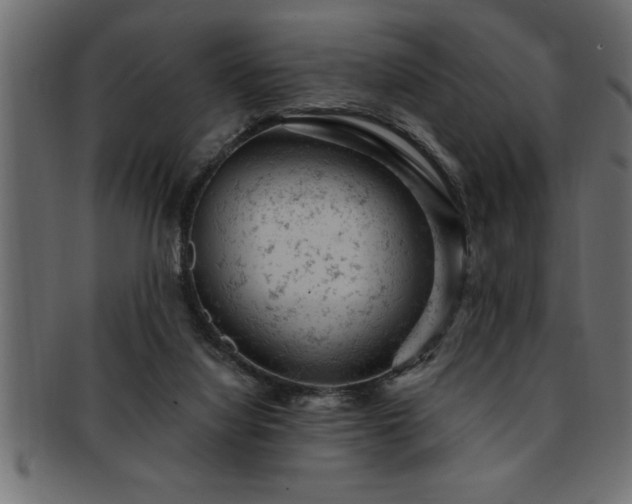 X0000093170068200709261537