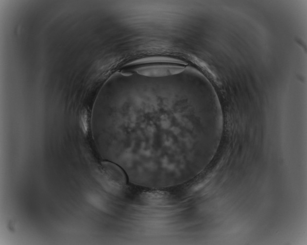 X0000093170069200709261537