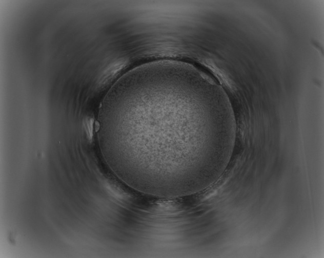 X0000093170070200709261537