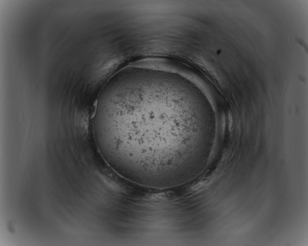 X0000093170072200709261537