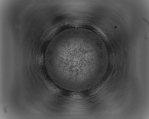 X0000093170073200709261537