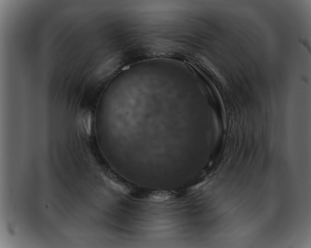 X0000093170076200709261537