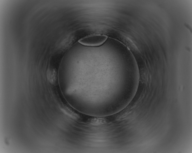 X0000093170077200709261537