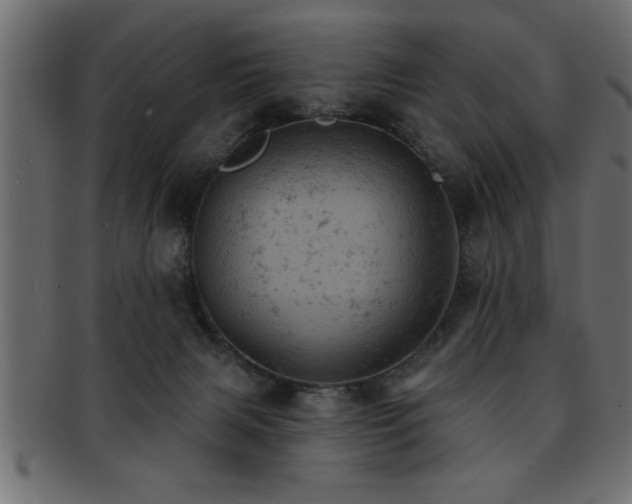 X0000093170079200709261537