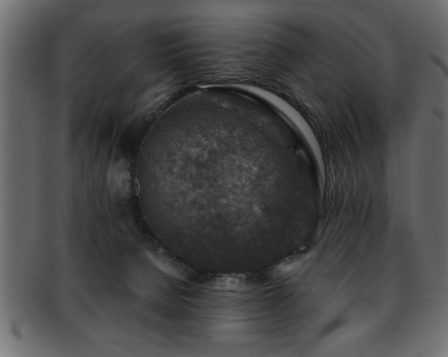X0000093170080200709261537