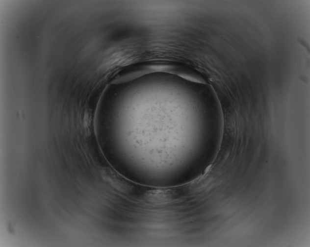 X0000093170082200709261537