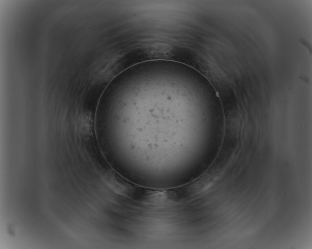 X0000093170083200709261537