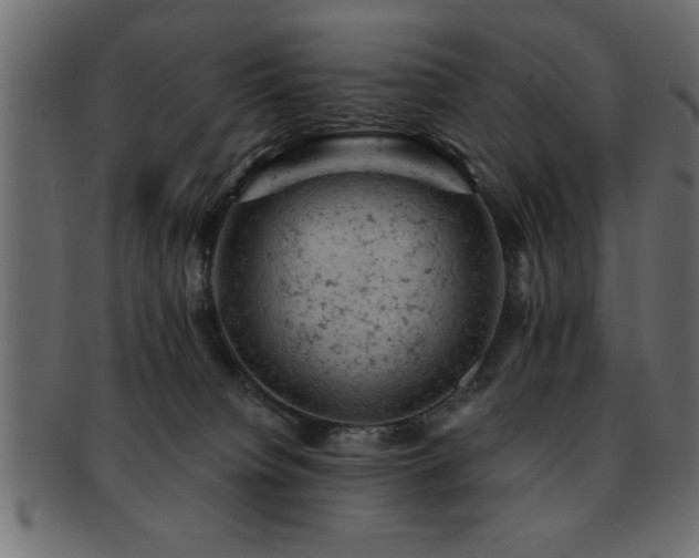 X0000093170084200709261537
