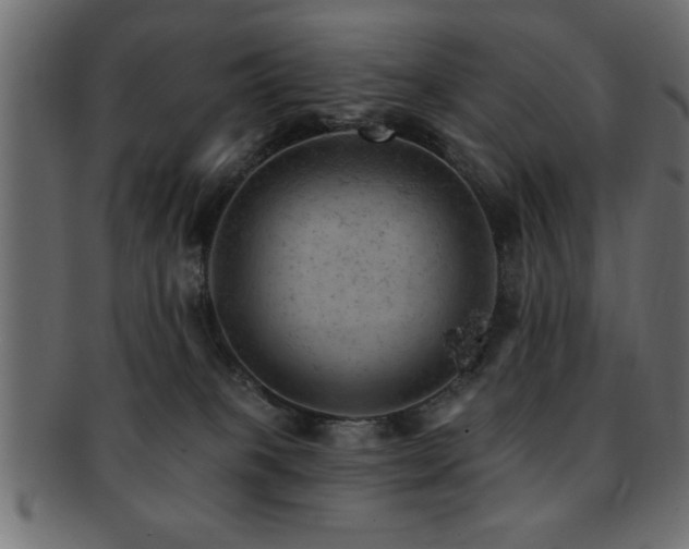 X0000093170085200709261537
